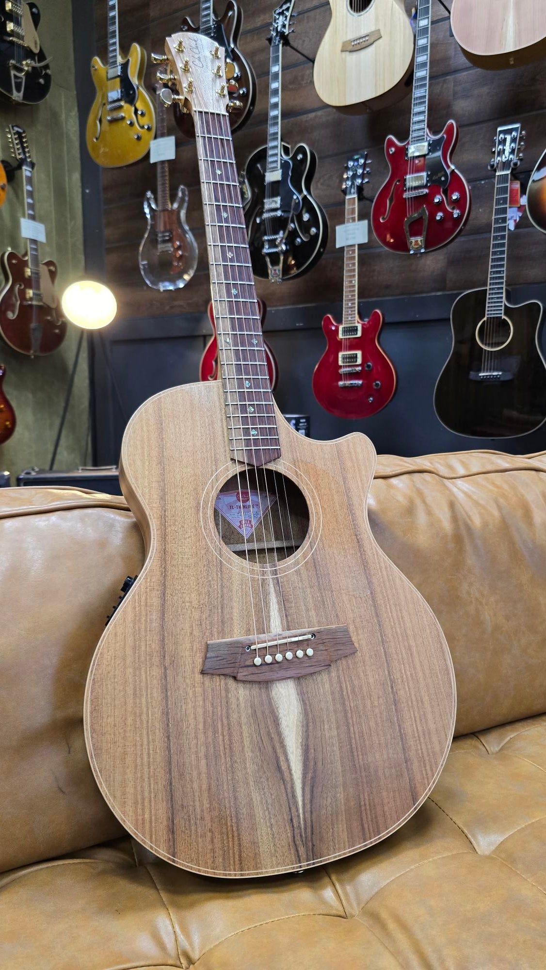 Cole Clark Thinline All Blackwood with Hardcase Pre-owned