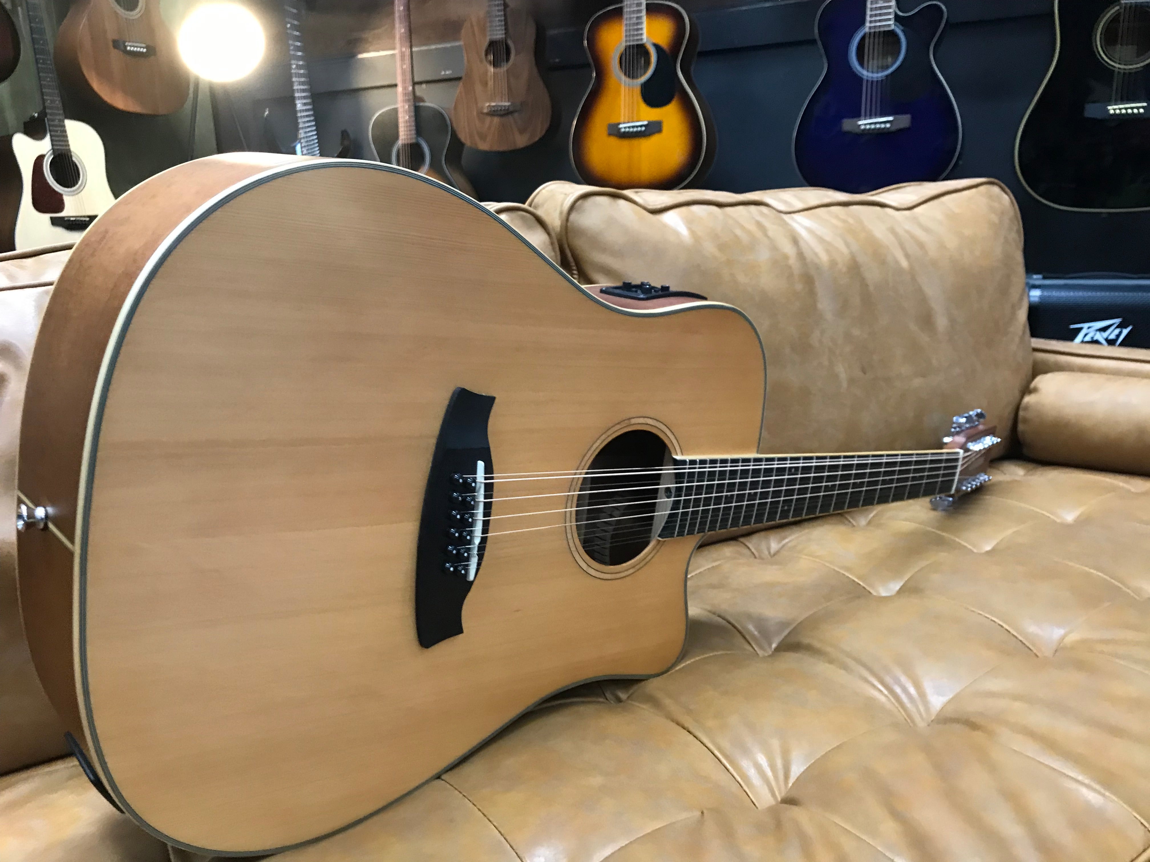 Tanglewood TW10-12 Winterleaf Dreadnought 12 String in Hardcase (Pre-Owned)