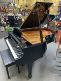 Stunning Grand Piano Music at Noosa