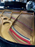 Pre-Owned Grand Piano Music at Noosa 