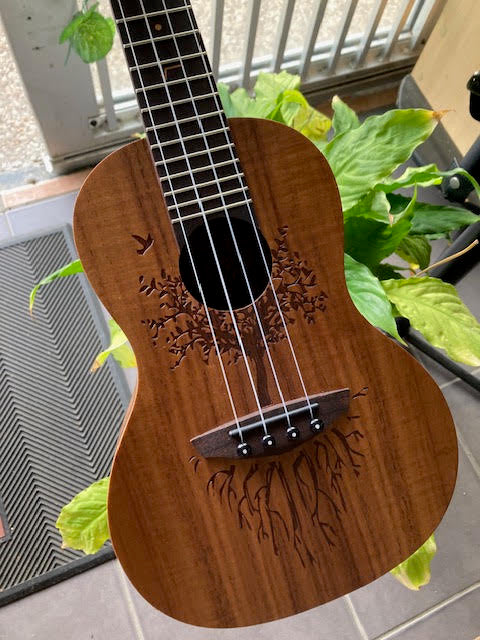 Veelah Concert Ukulele solid Acacia top w/ gigbag