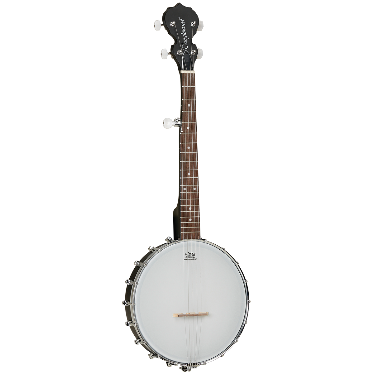 Tanglewood 5 shop string banjo