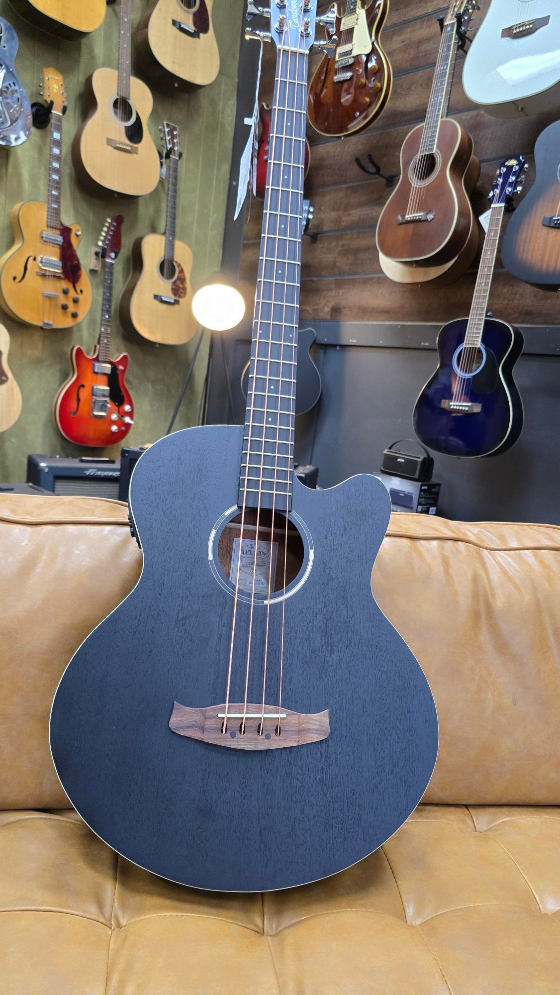 Tanglewood Blackbird Acoustic Bass Guitar Cutaway W/Hard case Bundle!!/ Electric Smokestack Satin