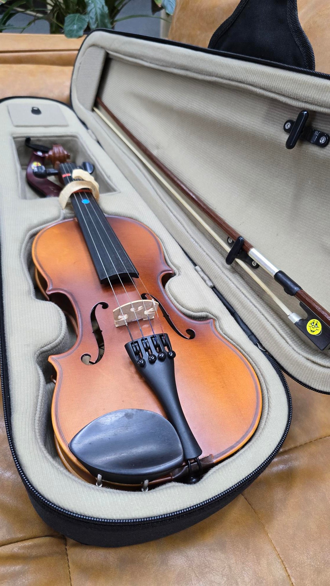 Vivo 1/2 Violin W/Bow, Shoulder Rest & Case