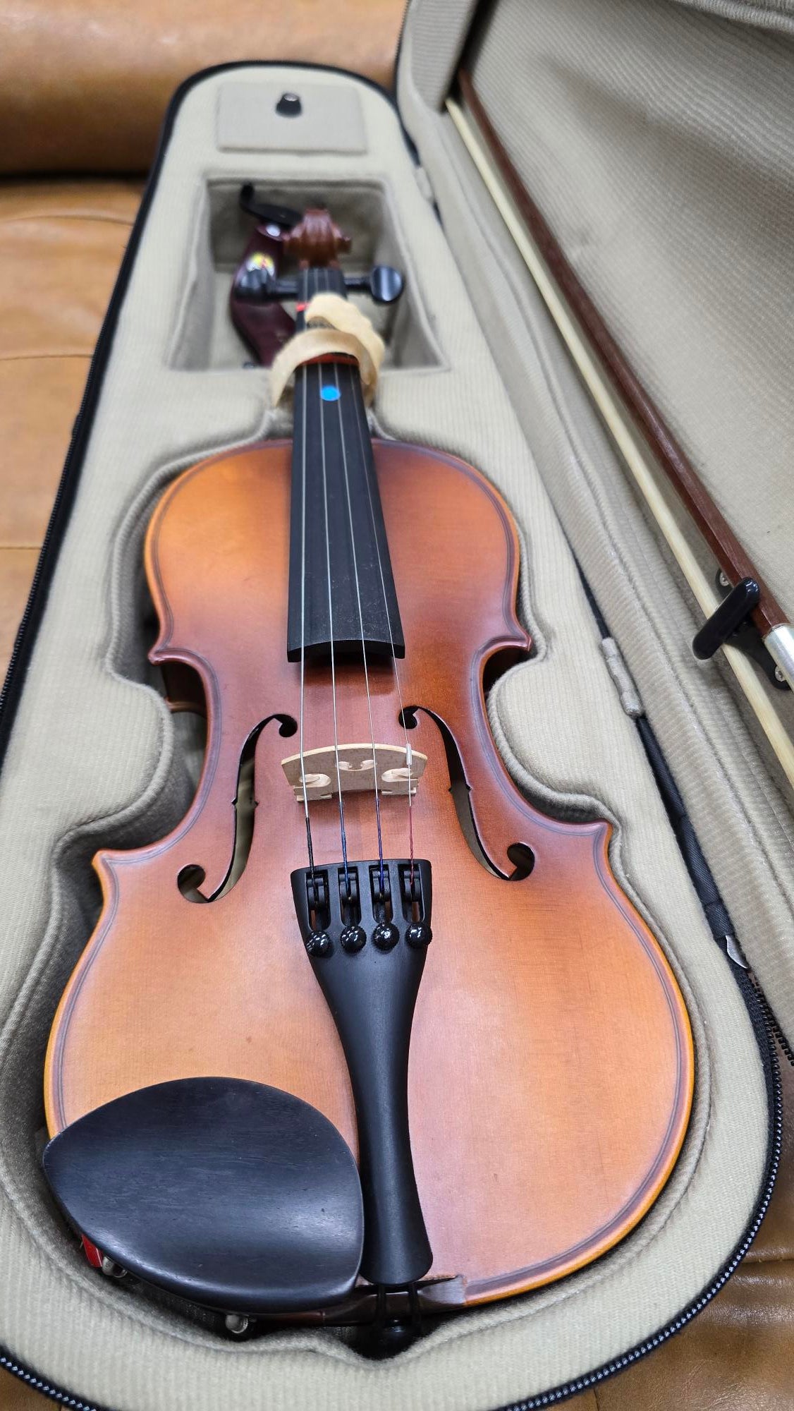 Vivo 1/2 Violin W/Bow, Shoulder Rest & Case