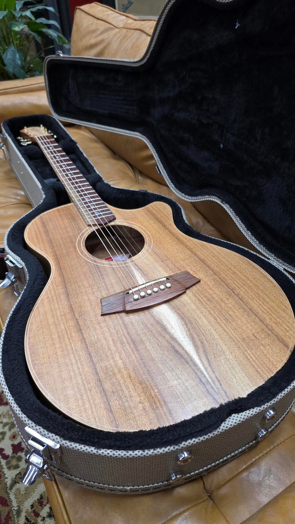 Cole Clark Thinline All Blackwood with Hardcase Pre-owned