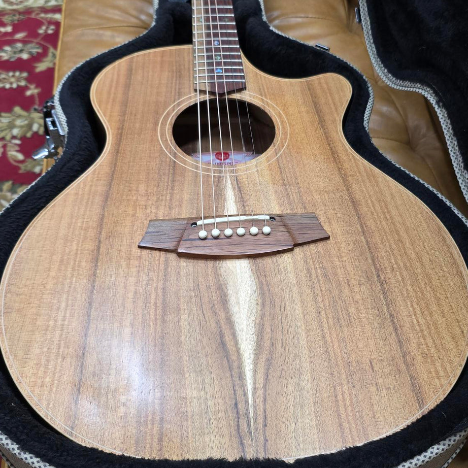Cole Clark Thinline All Blackwood with Hardcase Pre-owned