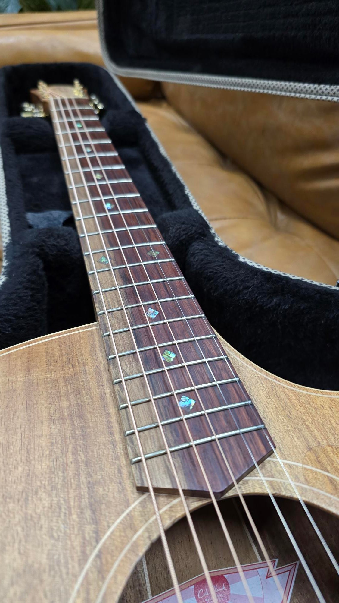 Cole Clark Thinline All Blackwood with Hardcase Pre-owned
