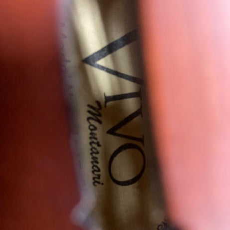 Vivo 4/4 violin w/ case + 2 bows (preowned)