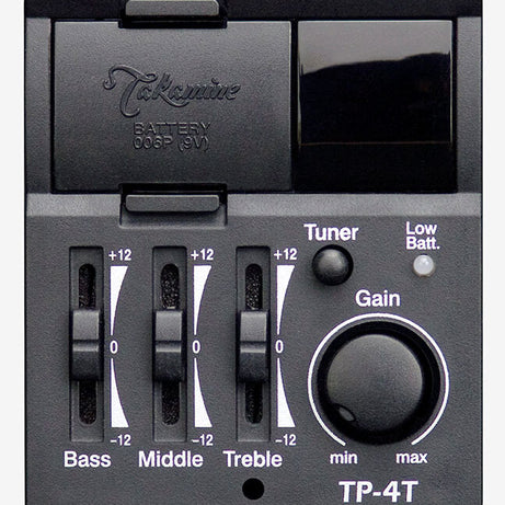 Takamine G11 Series New Yorker AC/EL acoustic Guitar in Natural Satin Finish