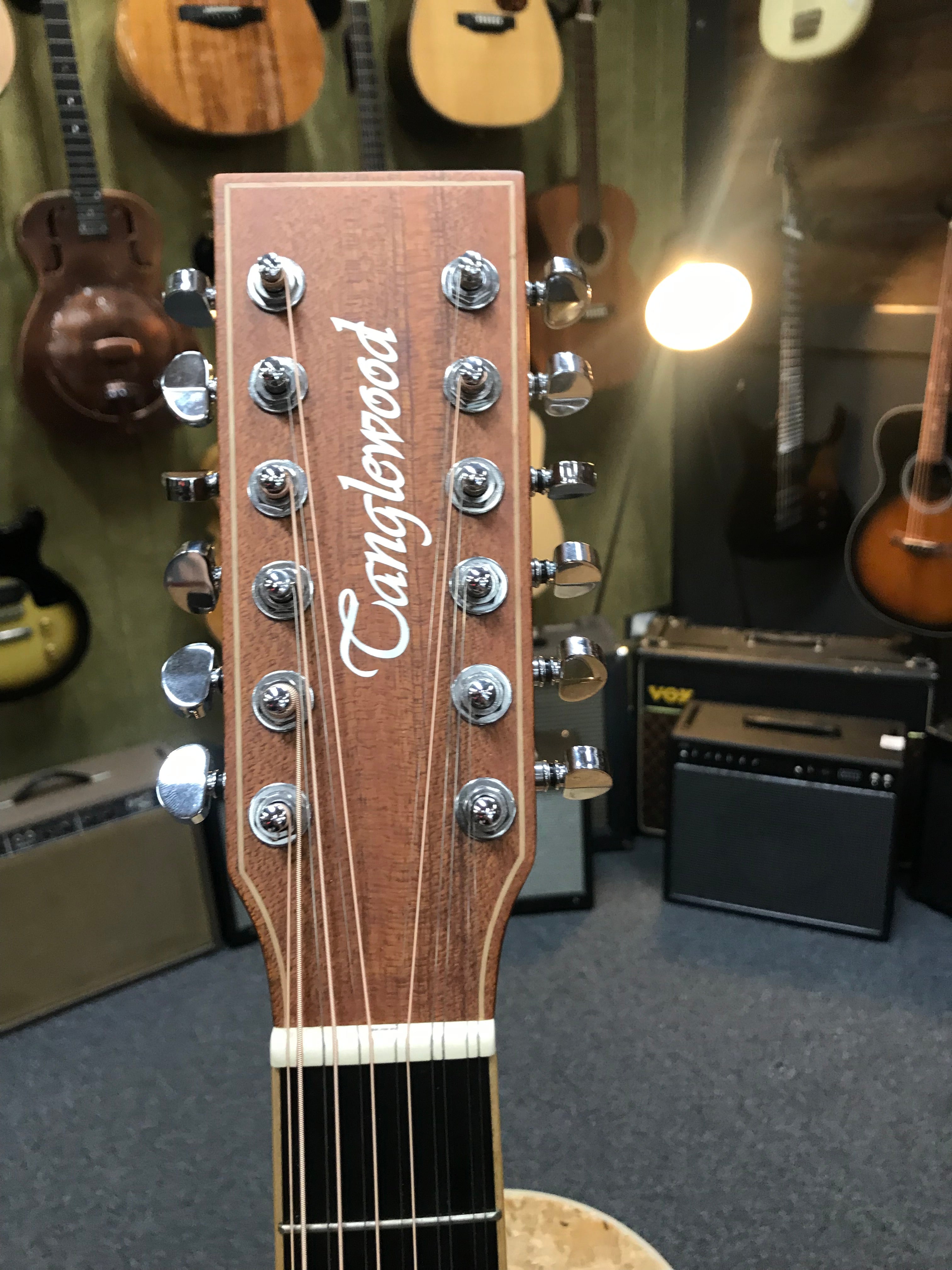 Tanglewood TW10-12 Winterleaf Dreadnought 12 String in Hardcase (Pre-Owned)