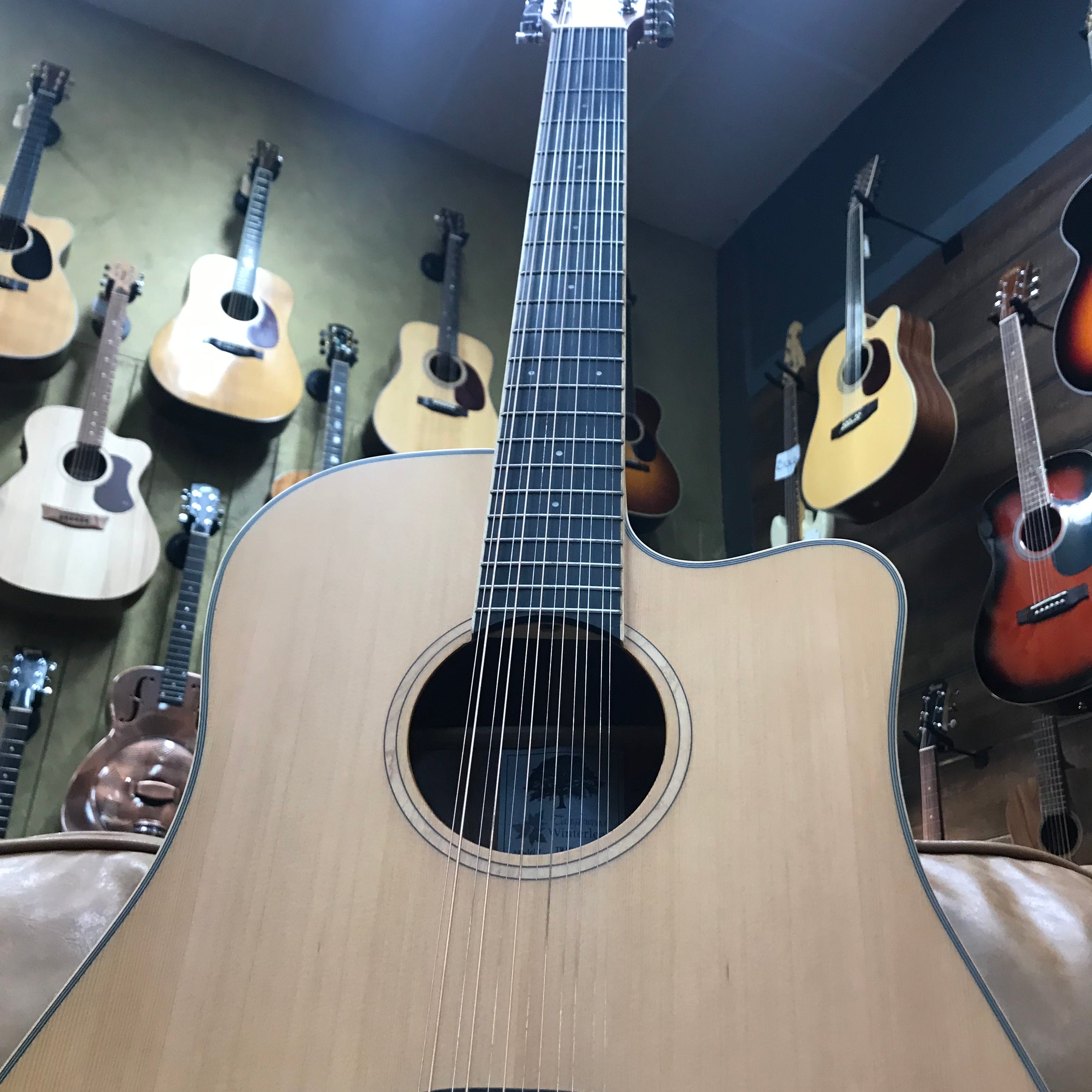 Tanglewood TW10-12 Winterleaf Dreadnought 12 String in Hardcase (Pre-Owned)
