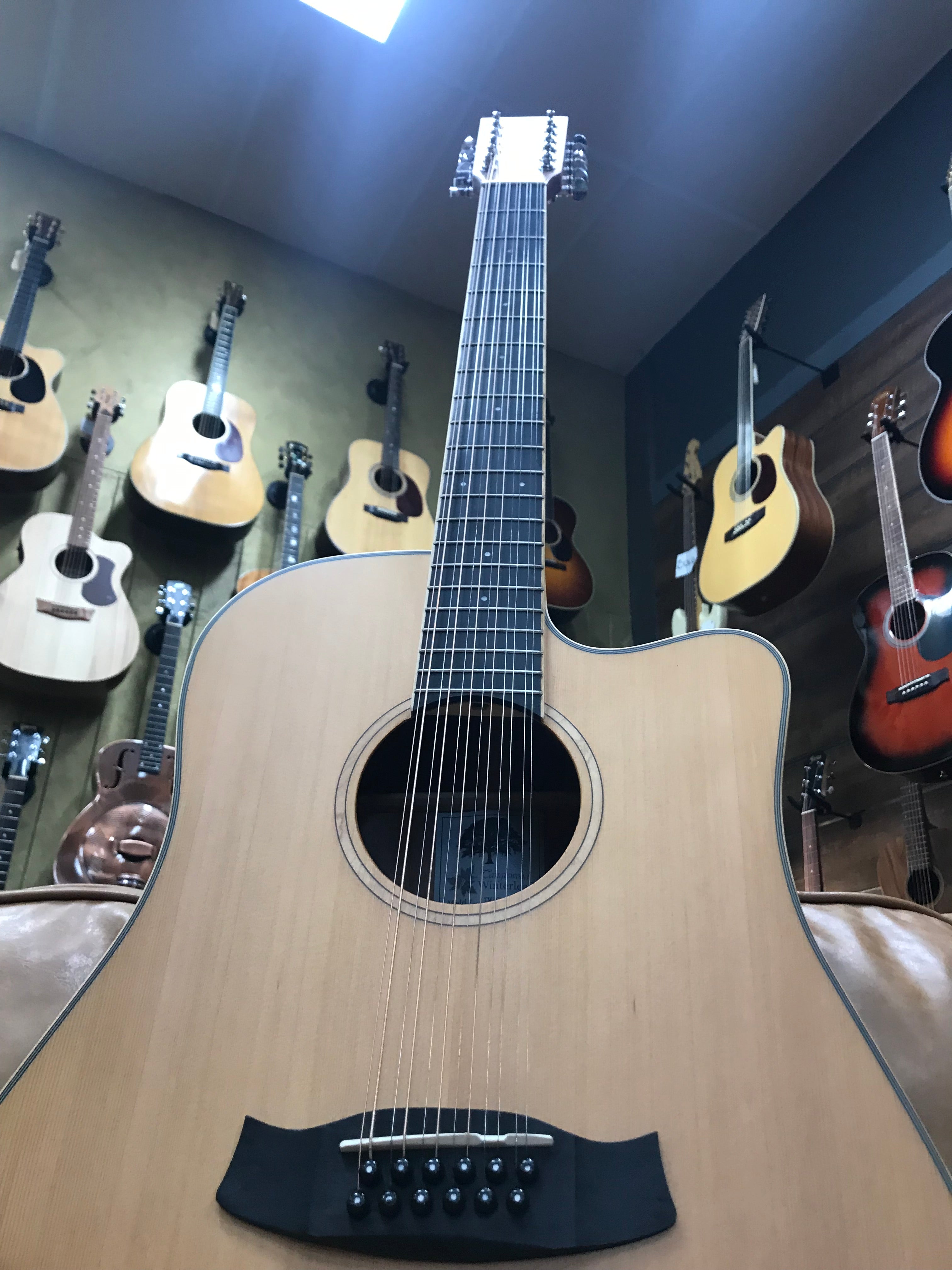 Tanglewood TW10-12 Winterleaf Dreadnought 12 String in Hardcase (Pre-Owned)
