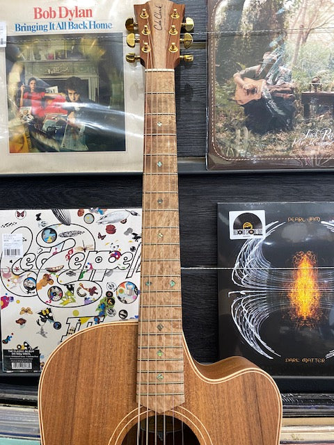 Cole Clark FL2EC Humbucker in Blackwood with original hard case.