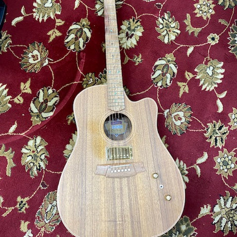 Cole Clark FL2EC Humbucker in Blackwood with original hard case.