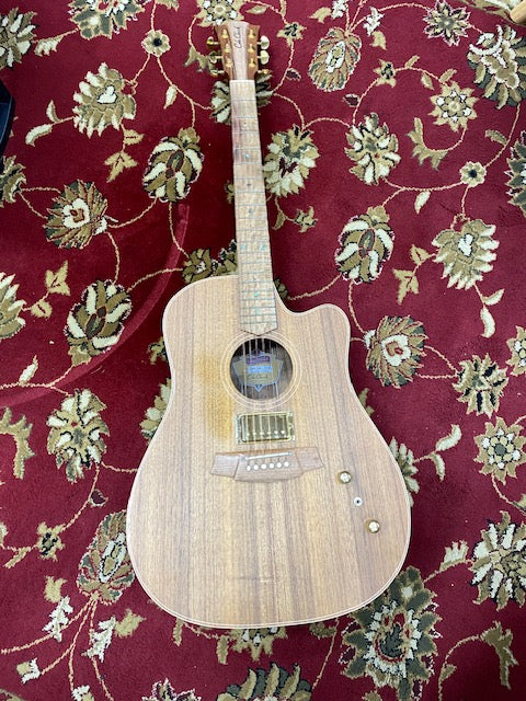 Cole Clark FL2EC Humbucker in Blackwood with original hard case.