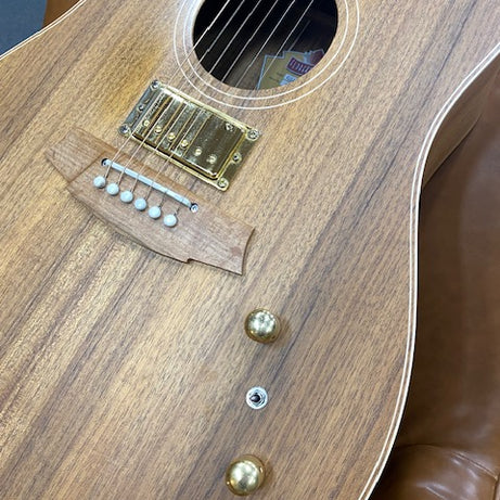 Cole Clark FL2EC Humbucker in Blackwood with original hard case.