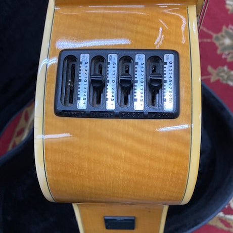 1990's Takamine Jasmine TS50MC Dreadnought Acous/Elec W/Hcase (Pre-Owned)