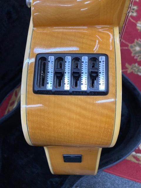 1990's Takamine Jasmine TS50MC Dreadnought Acous/Elec W/Hcase (Pre-Owned)