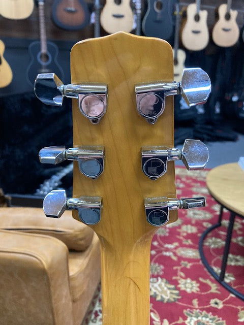 1990's Takamine Jasmine TS50MC Dreadnought Acous/Elec W/Hcase (Pre-Owned)
