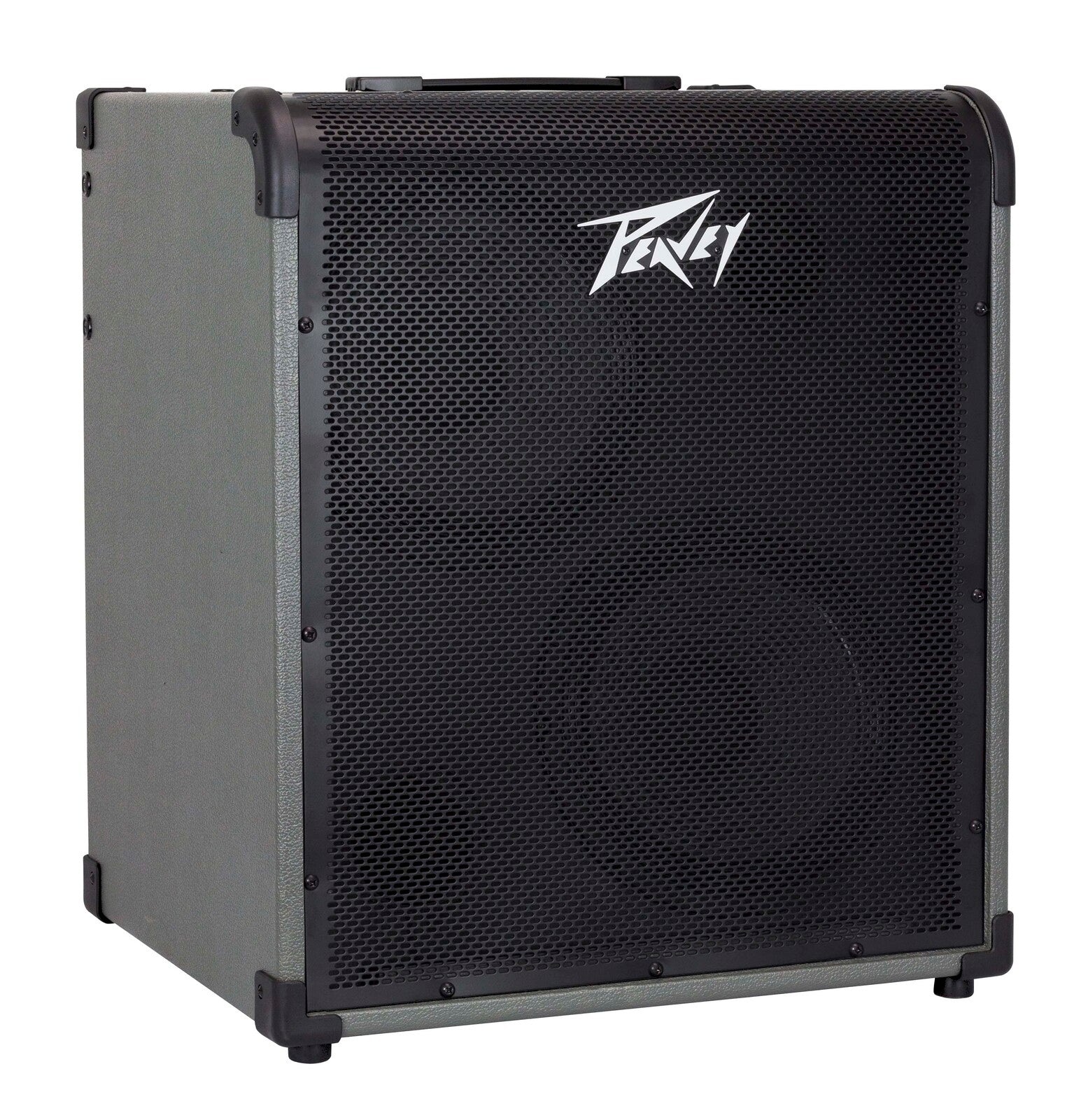 Peavey MAX Series "MAX300" Bass Amp Combo 300-Watt 2x10" MAX Portability. MAX Flexibility. MAX Sound.