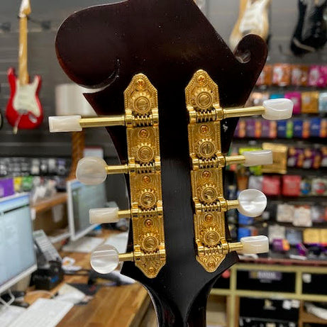 Stephen Treloar 2025 F5 Mandolin