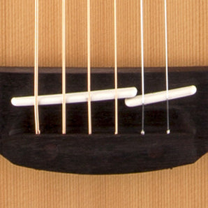 Takamine G20 Series NEX AC/EL Acoustic Guitar with Cutaway in Natural Satin Finish