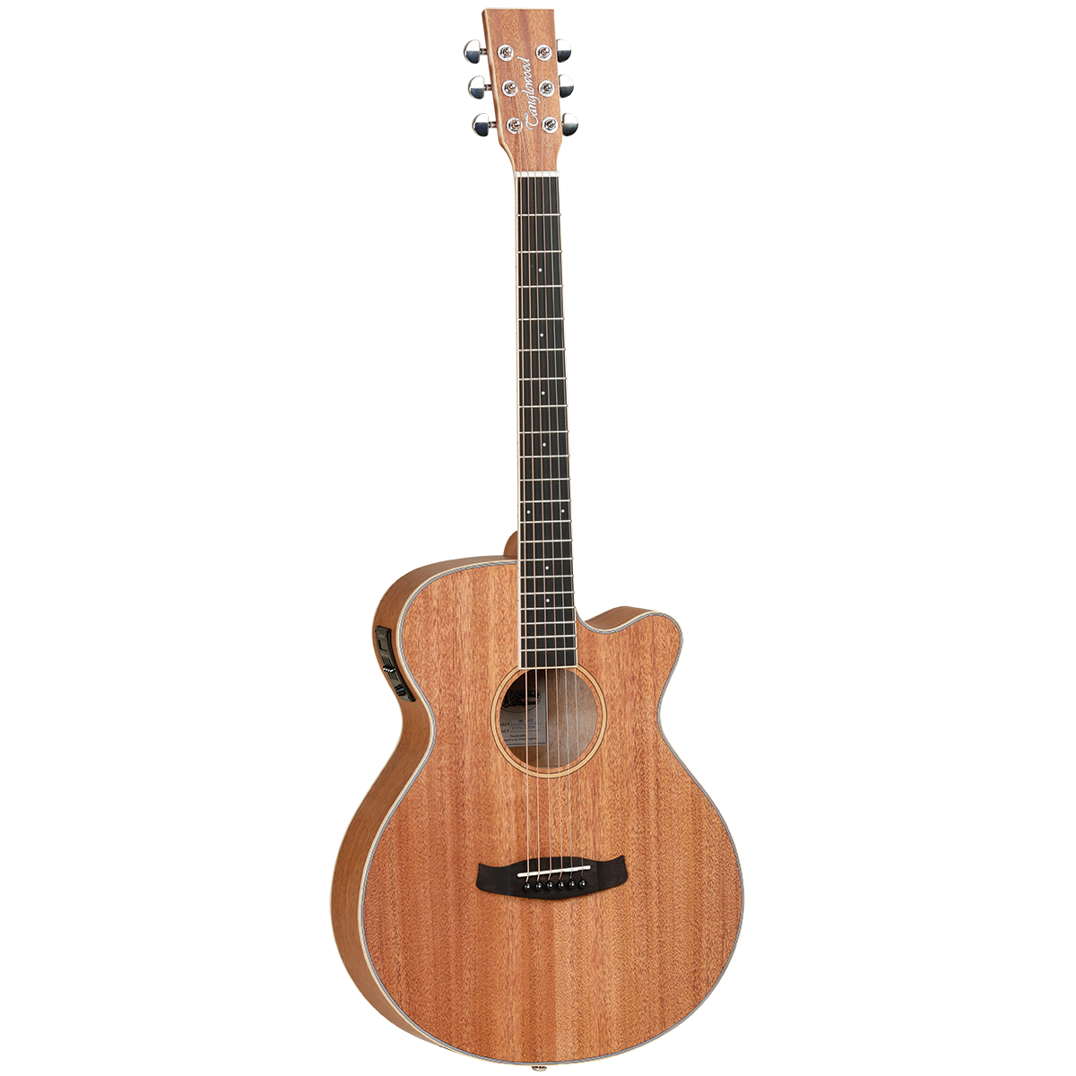 Tanglewood Union Solid Top SuperFolk C/E W/Premium Case Deal!!!