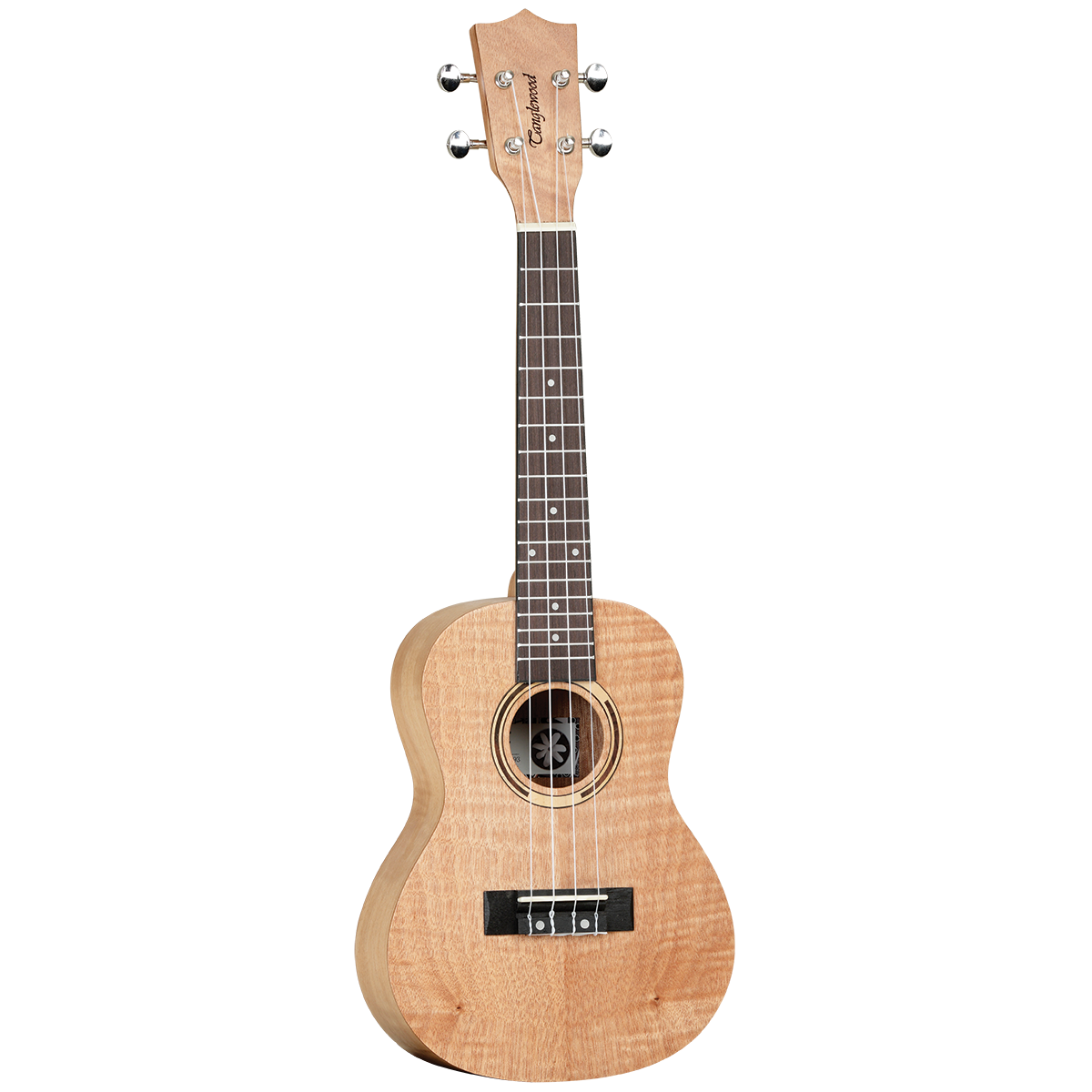 Tanglewood TWT6B Tiare Concert Ukulele All Flame Mahogany with Bag