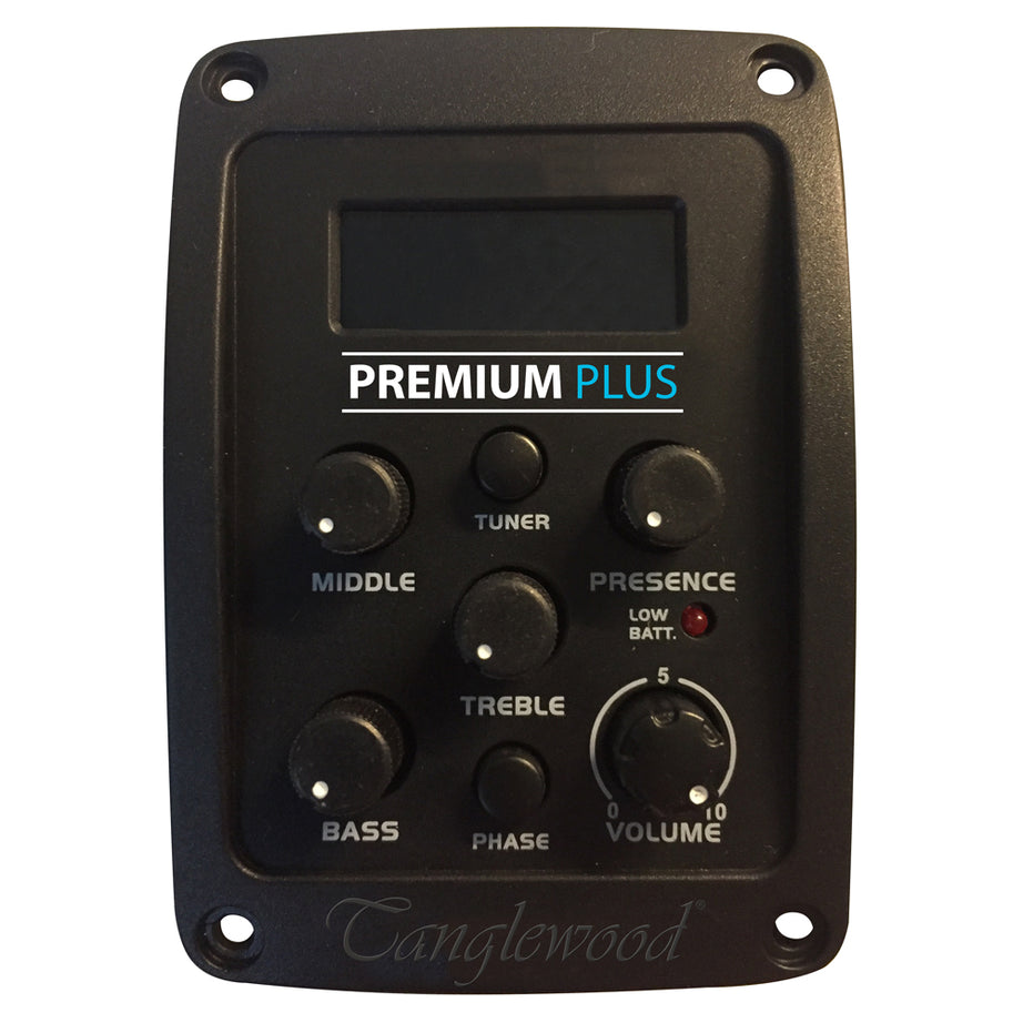 Tanglewood TW5SB Winterleaf Dreadnought C/E Sunburst