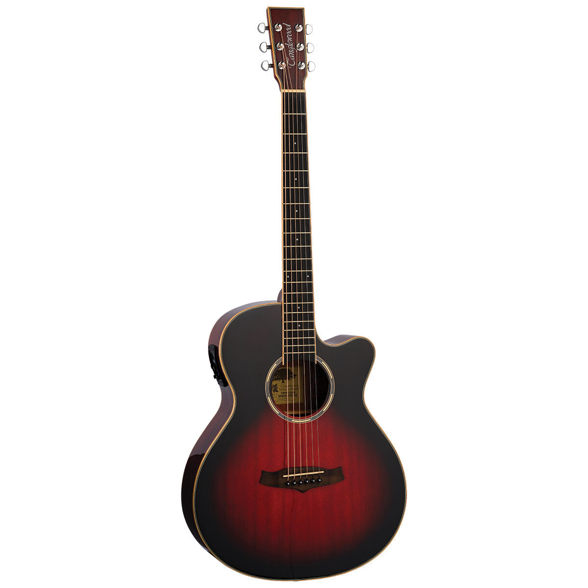 Tanglewood Winterleaf Pro Super Folk C/E Antique Vintage Burst