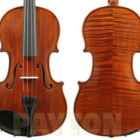 Enrico Violin 4/4 Outfit