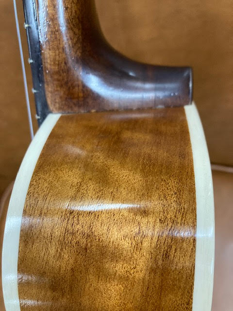 Stephen Treloar Tenor Ukulele w/Bag