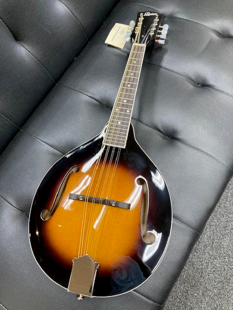 Rover RM-50 All Solid Deluxe Mandolin – Music at Noosa