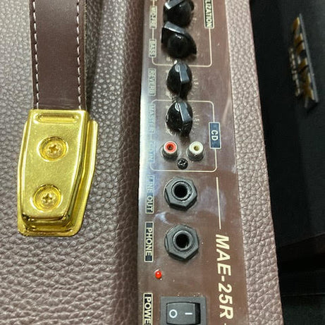 Martinez dual channel acoustic amplifier ( preowned )