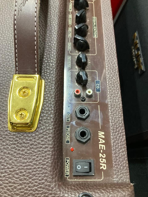 Martinez dual channel acoustic amplifier ( preowned )