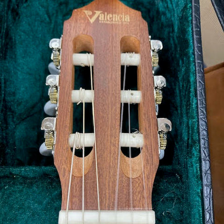 Valencia VC350 small body guitar w/ case (immaculate)