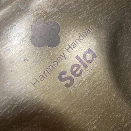 Sela Percussion Handpan SE-201 w/ stand + bag (just tuned)