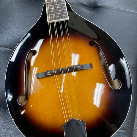 Rover RM-50 All Solid Deluxe Mandolin