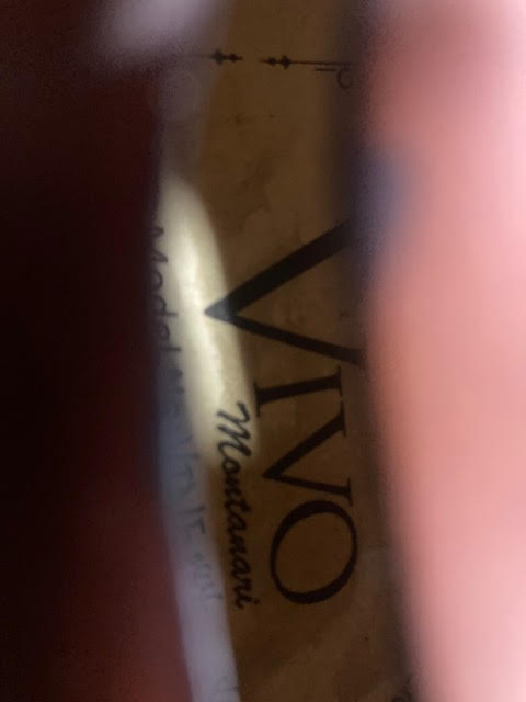 Vivo 4/4 violn w/ shoulder rest (preowned)