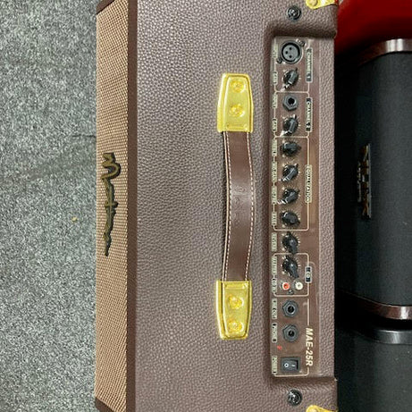 Martinez dual channel acoustic amplifier ( preowned )