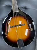 Rover RM-50 All Solid Deluxe Mandolin