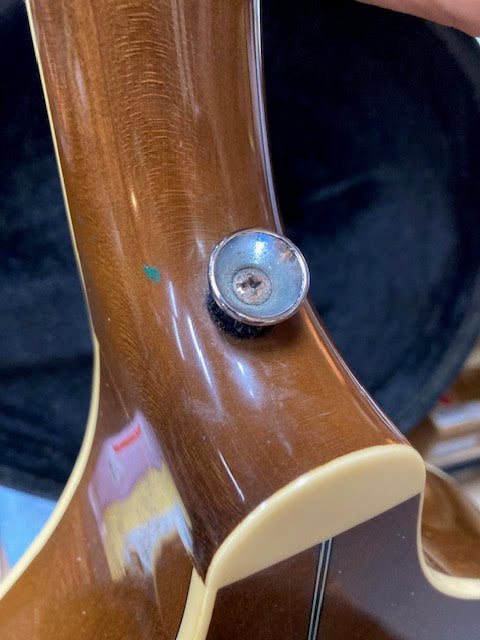 Trinity College TM-275 Mandola (preowned)