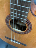 Cordoba C5-CE Classical Guitar w/GigBag