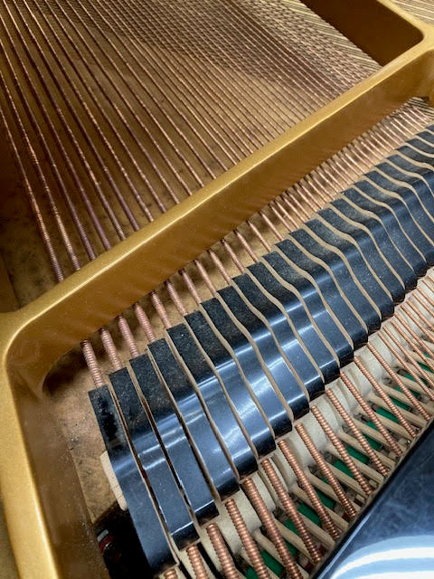Grand Piano Strings