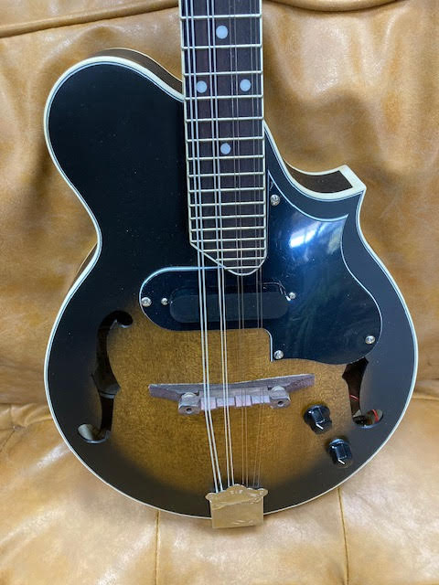 Tanglewood Mandolin Scroll Spruce Top (preowned)