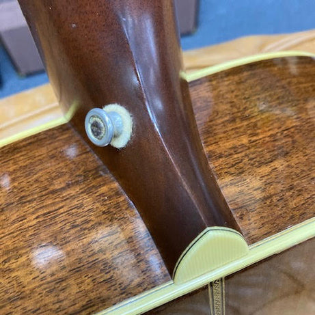 Music at Noosa Santa Cruz