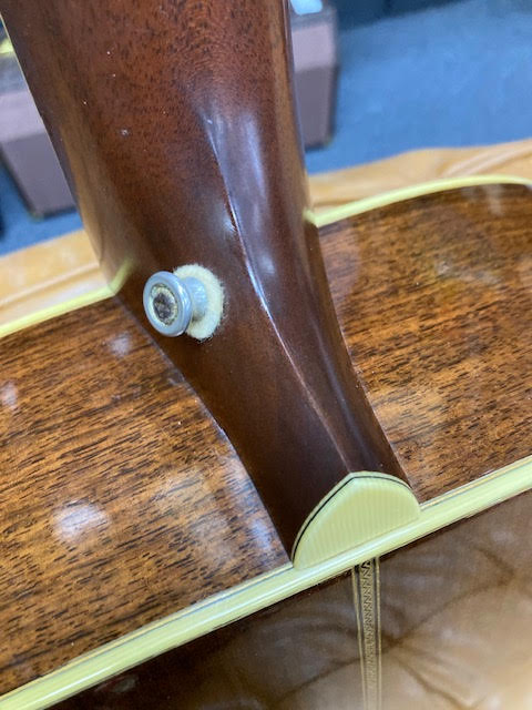 Music at Noosa Santa Cruz