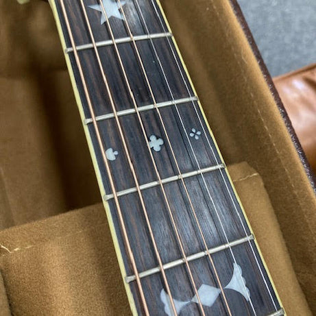 Washburn 125th anniversary limited edition parlour guitar w/ case