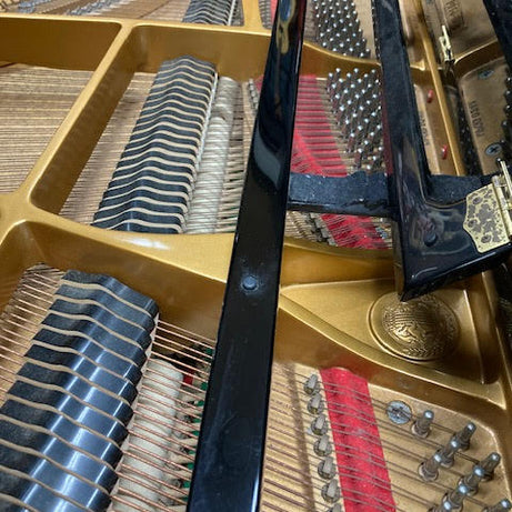 Grand Piano Strings Music at Noosa